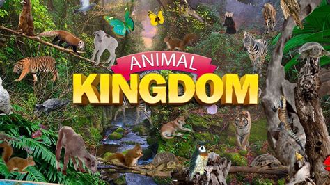 korean animal kingdom game.